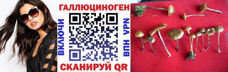 omg зеркало  Харовск  Псилоцибиновые грибы ЛСД 